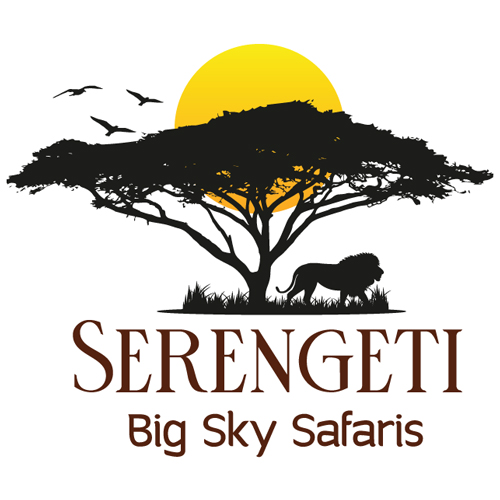Serengeti Big Sky Safaris