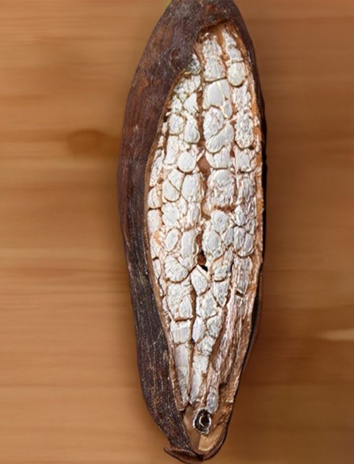 A close-up of a fruit Description automatically generated